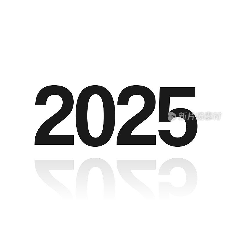 2025年- 2025年。白色背景上反射的图标